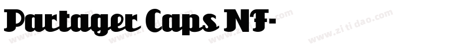 Partager Caps NF字体转换